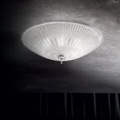 Griestu Lampa Shell Pl6 caurspīdīga 8622 cena un informācija | Griestu lampas | 220.lv