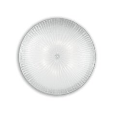 Griestu Lampa Shell Pl6 caurspīdīga 8622 cena un informācija | Griestu lampas | 220.lv