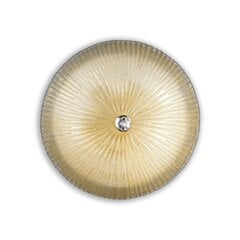 Griestu Lampa Shell Pl6 Ambra 140193 cena un informācija | Griestu lampas | 220.lv