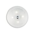 Griestu Lampa Shell Pl4 caurspīdīga 8615