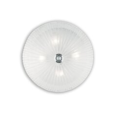 Griestu Lampa Shell Pl4 Ambra 140186 цена и информация | Потолочные светильники | 220.lv