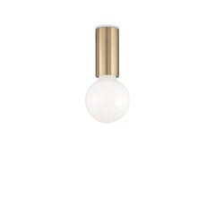 Griestu lampa Petit Pl1 Ottone Satinato 233031 цена и информация | Потолочные светильники | 220.lv