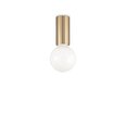 Griestu lampa Petit Pl1 Ottone Satinato 233031