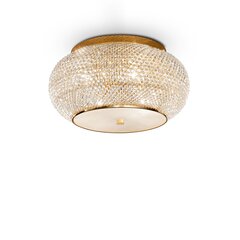 Griestu lampa Pasha ' Pl6 Oro 100807 цена и информация | Потолочные светильники | 220.lv