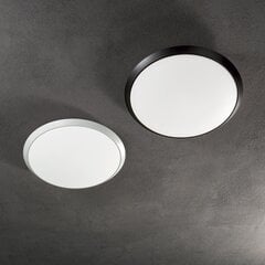 Griestu lampa Gemma PL D30 Nero 252605 цена и информация | Потолочные светильники | 220.lv