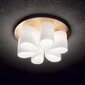 Griestu lampa Daisy Pl6 247779 cena un informācija | Griestu lampas | 220.lv