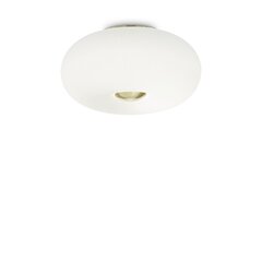 Griestu lampa Arizona Pl5 214511 цена и информация | Потолочные светильники | 220.lv