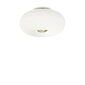 Griestu lampa Arizona Pl5 214511 цена и информация | Griestu lampas | 220.lv