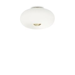 Griestu lampa Arizona Pl3 214504 цена и информация | Потолочные светильники | 220.lv