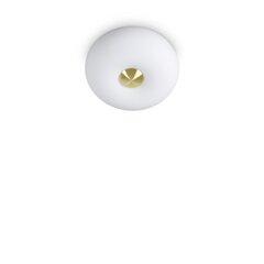 Griestu lampa Arizona Pl2 214498 cena un informācija | Griestu lampas | 220.lv
