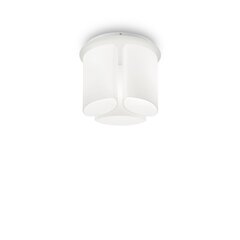 Griestu lampa Almond Pl3 159638 cena un informācija | Griestu lampas | 220.lv