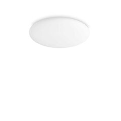 Настенный светильник Flash_AP1_Cromo цена и информация | Потолочные светильники | 220.lv