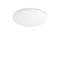 Griestu lampa LEVEL_PL_D60 цена и информация | Потолочные светильники | 220.lv