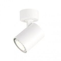 Griestu lampa SPL-2071-1-MC-WH cena un informācija | Griestu lampas | 220.lv