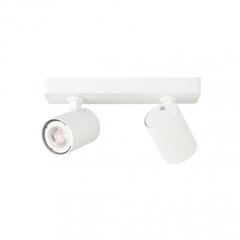 Griestu lampa SPL-2071-2-MB-WH cena un informācija | Griestu lampas | 220.lv