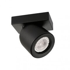 Griestu lampa SPL-2855-1B-BL cena un informācija | Griestu lampas | 220.lv