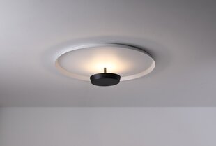 Griestu lampa JING 25W, Ø600mm, 3000K cena un informācija | Griestu lampas | 220.lv