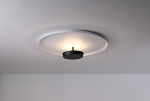Griestu lampa JING 18W, Ø400mm, 3000K цена и информация | Потолочные светильники | 220.lv