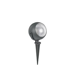 Lampa augiem Zenith Pt1 maza 108407 cena un informācija | Āra apgaismojums | 220.lv