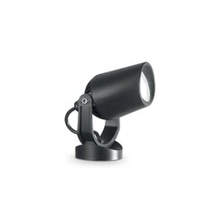 Lampa augiem Minitommy Pt Nero 4000K 120201 цена и информация | Уличное освещение | 220.lv