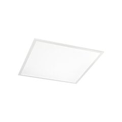 Iebūvējama lampa Led Panel 4000K Cri90 244181 цена и информация | Монтируемые светильники, светодиодные панели | 220.lv