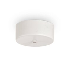 Savienojuma Lements Rosone Magnetico 1 Luce Bianco 244235 cena un informācija | Iebūvējamās lampas, LED paneļi | 220.lv