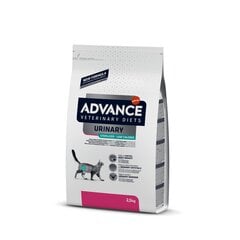 ADVANCE VET CAT URINARY LOW CALLORIES 2.5 KG - Sterilizētiem kaķiem urīntrakta veselībai ar lieku svaru cena un informācija | Sausā barība kaķiem | 220.lv