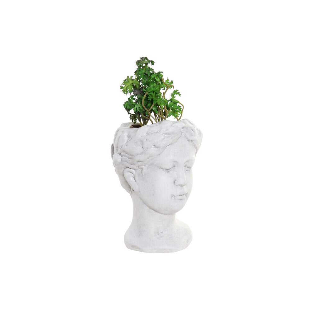 Dekoratīvs augs DKD Home Decor. цена и информация | Mākslīgie ziedi | 220.lv