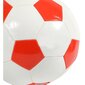 Futbola bumba Enero Boružė, 5. izmērs cena un informācija | Futbola bumbas | 220.lv