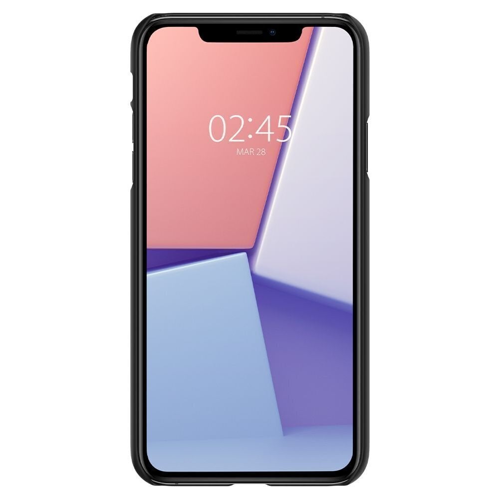 Spigen 076CS27178, piemērots iPhone 11, melns cena un informācija | Telefonu vāciņi, maciņi | 220.lv