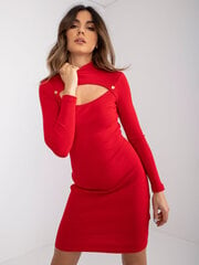Sieviešu ikdienas kleita, sarkana цена и информация | Платья | 220.lv