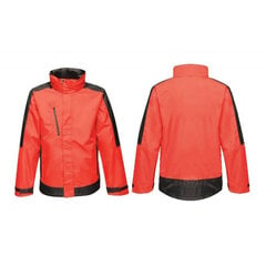 Jaka vīriešiem Regatta Cntrst Shell Jacket M TRW504 51P, oranža цена и информация | Мужские куртки | 220.lv