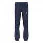 Sporta bikses bērniem Adidas Core 15 Sweat Pants Junior S22346, zilas cena un informācija | Bikses zēniem | 220.lv