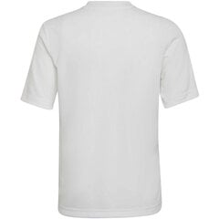 Детская футболка Adidas Entrada 22 Graphic Jersey Jr HF0120, белая цена и информация | Рубашки для мальчиков | 220.lv