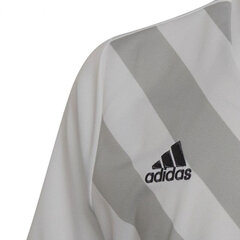 Bērnu T-krekls Adidas Entrada 22 Graphic Jersey Jr HF0120, balts cena un informācija | Zēnu krekli | 220.lv