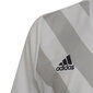 Bērnu T-krekls Adidas Entrada 22 Graphic Jersey Jr HF0120, balts цена и информация | Zēnu krekli | 220.lv