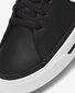 Nike Apavi Court Legacy Black DA5380 002 DA5380 002/3 cena un informācija | Sporta apavi vīriešiem | 220.lv