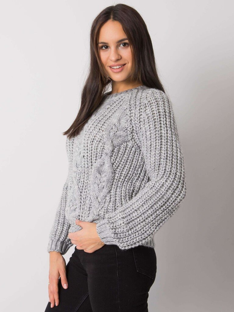 Džemperis sievietēm, pelēks cena un informācija | Sieviešu džemperi | 220.lv
