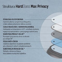 Aizsargplēve telefonam 3MK iPhone X цена и информация | Защитные пленки для телефонов | 220.lv