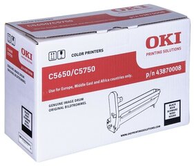 OKI 43870008 цена и информация | Картриджи для лазерных принтеров | 220.lv