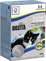Konservi kaķiem Bozita Feline Outdoor & Active - tetra iepakojums, 190 g cena un informācija | Konservi kaķiem | 220.lv