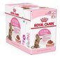 Konservi sterilizētiem kaķiem ROYAL CANIN, 12 x 85 g cena un informācija | Konservi kaķiem | 220.lv