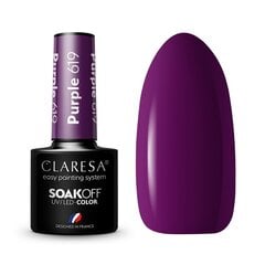 Noturīga hibrīda nagu laka Claresa Purple 619, 5 g цена и информация | Лаки для ногтей, укрепители | 220.lv