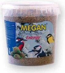 Trekna barība ziemojošiem putniem Megan, 1 l/730 g cena un informācija | Putnu barība | 220.lv