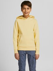 Jack & Jones bērnu sporta krekls 12184813*01, dzeltens 5715212745711 cena un informācija | Zēnu jakas, džemperi, žaketes, vestes | 220.lv