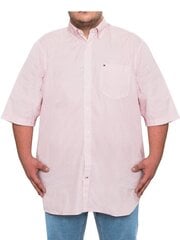 Krekls vīriešiem Tommy Hilfiger 8719862663842 цена и информация | Мужские рубашки | 220.lv