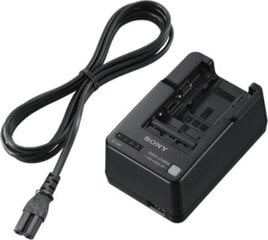 Sony BC-QM1 цена и информация | Зарядные устройства для видеокамер | 220.lv