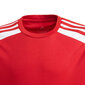 T-krekli zēniem Adidas Squadra 21 Jersey Youth Jr GN5746 цена и информация | Zēnu krekli | 220.lv