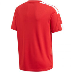 Футболка для мальчиков Adidas Squadra 21 Jersey Youth Jr GN5746 цена и информация | Рубашки для мальчиков | 220.lv