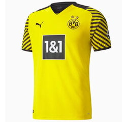 T-krekls vīriešiem Puma, dzeltens cena un informācija | Sporta apģērbs vīriešiem | 220.lv